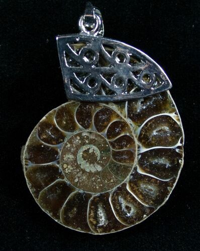 Ammonite Fossil Pendant #7077
